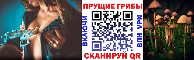Псилоцибиновые грибы ЛСД  Дубовка 